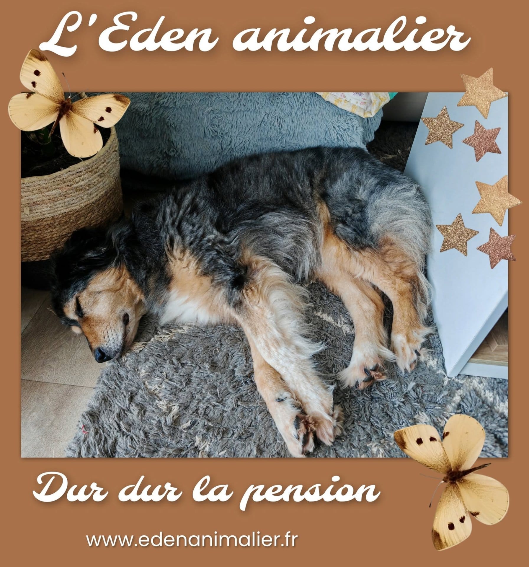 Photo de L'Eden animalier
