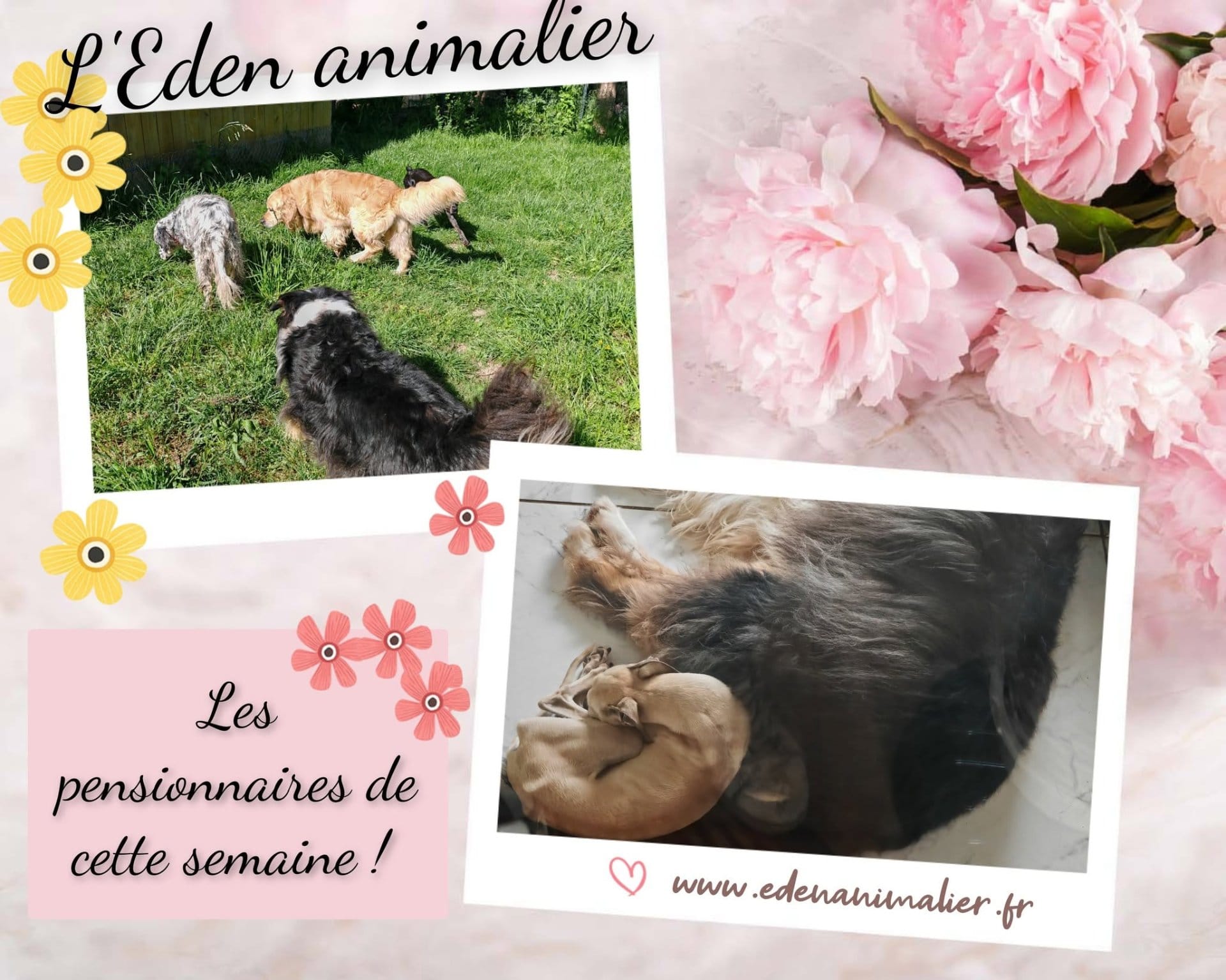 Photo de L'Eden animalier