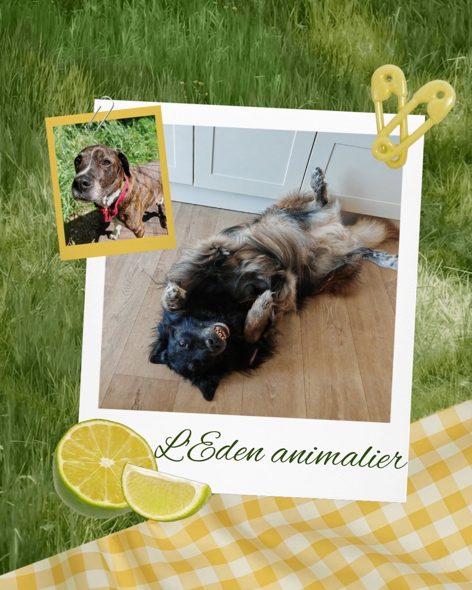 Photo de L'Eden animalier